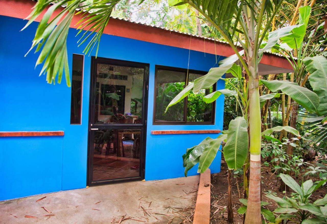 Ferienwohnung Casa Smilin' Dog Tamarindo Exterior foto